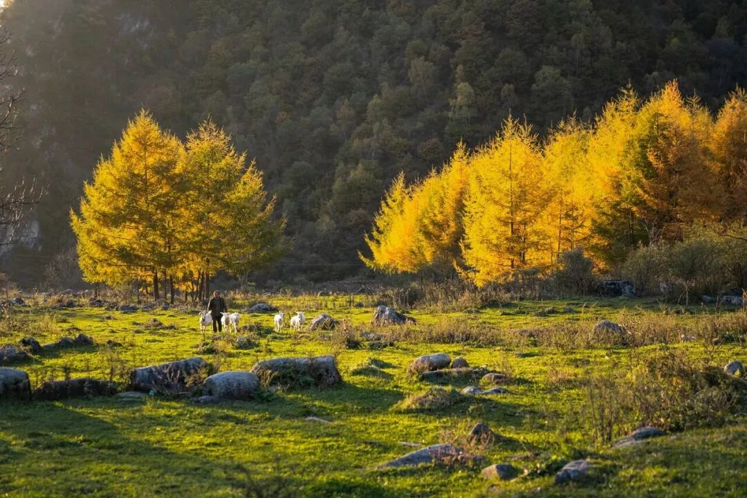 3月最佳旅行地 | 7元嗦粉、5元坐船、0元看花海，中国有的是好看又好吃的地方！