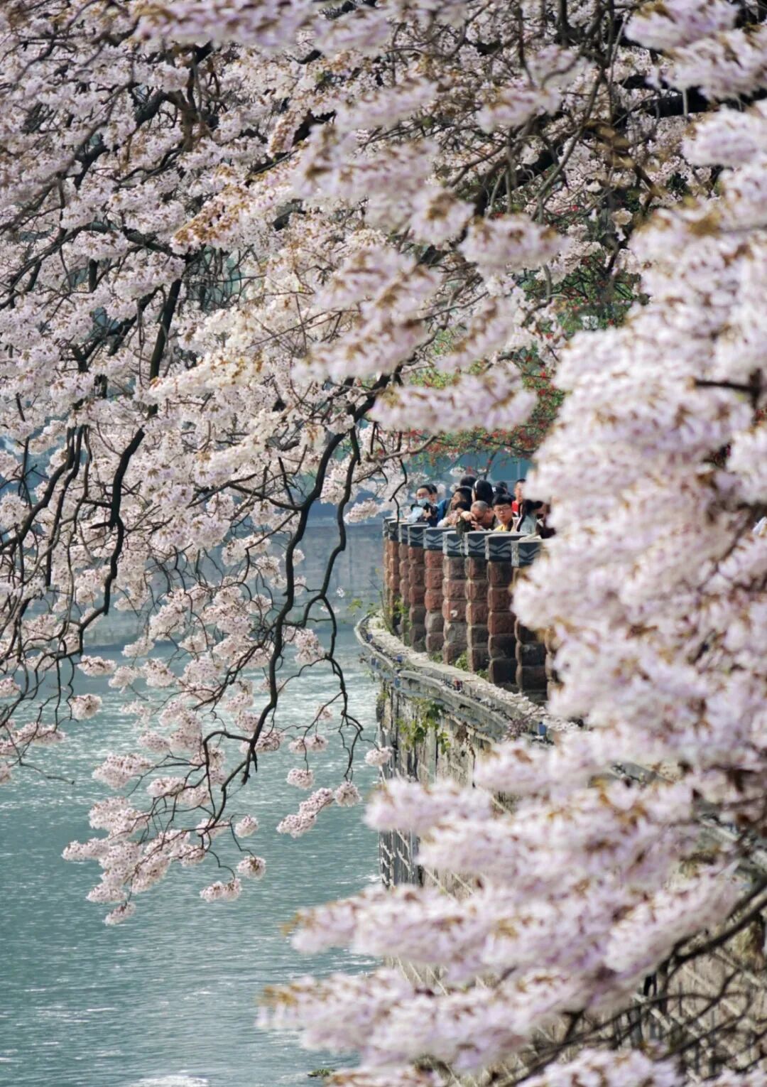 别去三亚挤了！清明拼假6天，我私藏的宝藏小城好吃到飞起，美到失语！