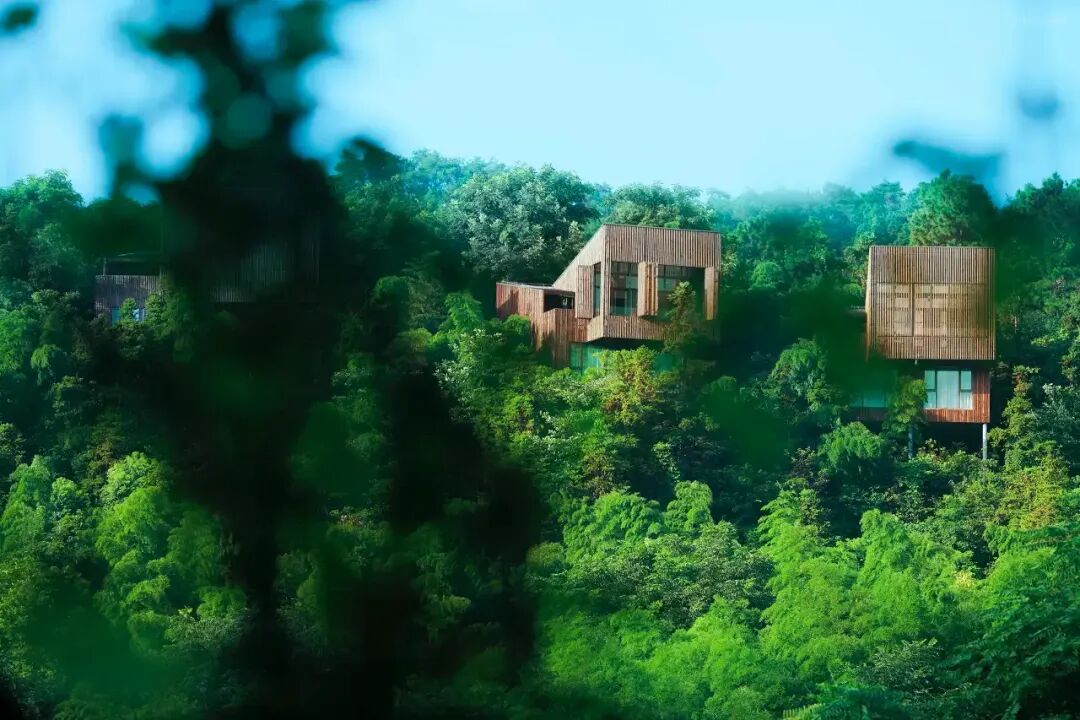 终于找到一个地方，温泉入户，包邮区3小时就能到！