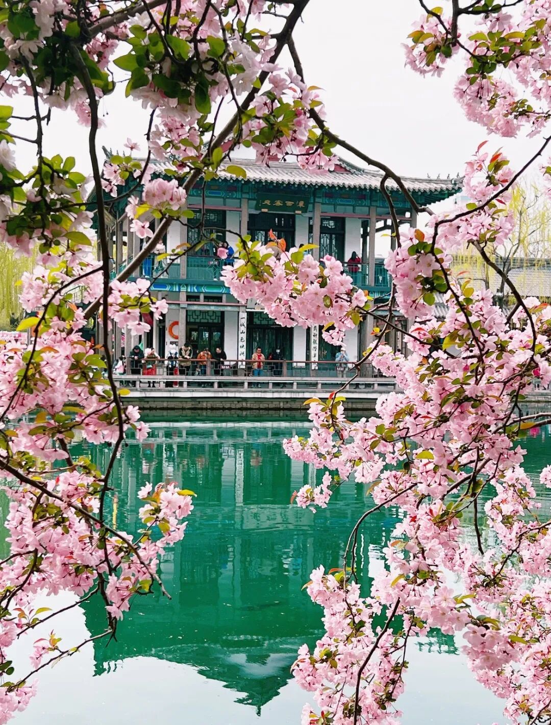 别去三亚挤了！清明拼假6天，我私藏的宝藏小城好吃到飞起，美到失语！