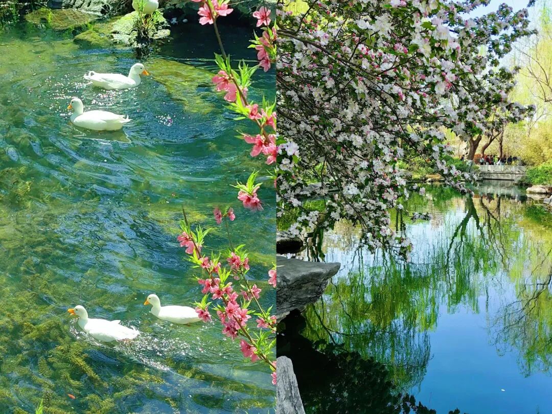 别去三亚挤了！清明拼假6天，我私藏的宝藏小城好吃到飞起，美到失语！