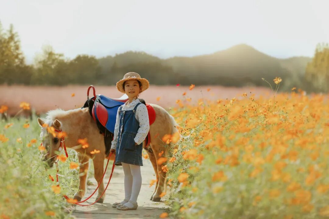 终于找到一个地方，温泉入户，包邮区3小时就能到！