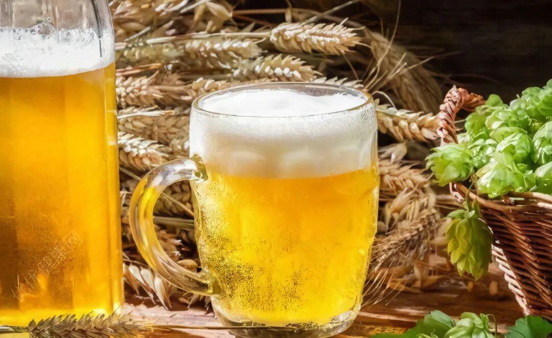 同样是啤酒，原浆、鲜啤、熟啤大不同！你喝对了吗？