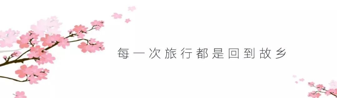 潮式月饼礼盒预售定制一盒月饼，送给你爱的人