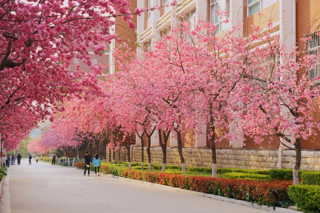 2022云南经济管理学院专升本招生计划简章