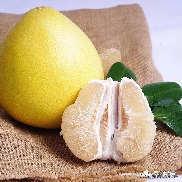 启东同仁本草堂中医馆 柚子堪称冬季最佳水果 你吃了吗 吃柚子有五大好处 同仁本草堂 微信公众号文章阅读 Wemp