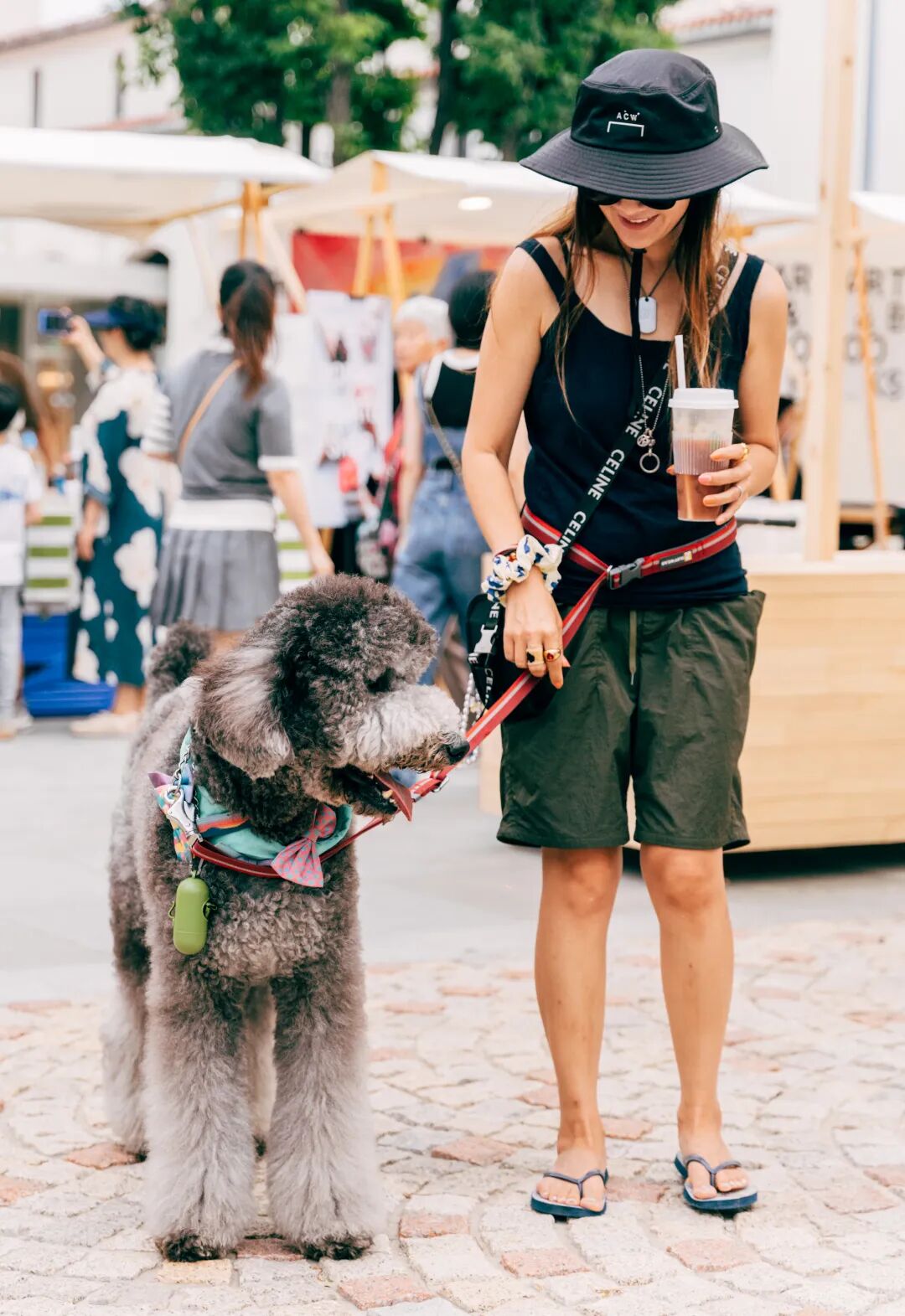 奇妙精灵怎么用来阿那亚·金山岭，与100只“小狗鬼”共度山谷精灵奇妙之旅_https://www.jmylbn.com_新闻资讯_第5张