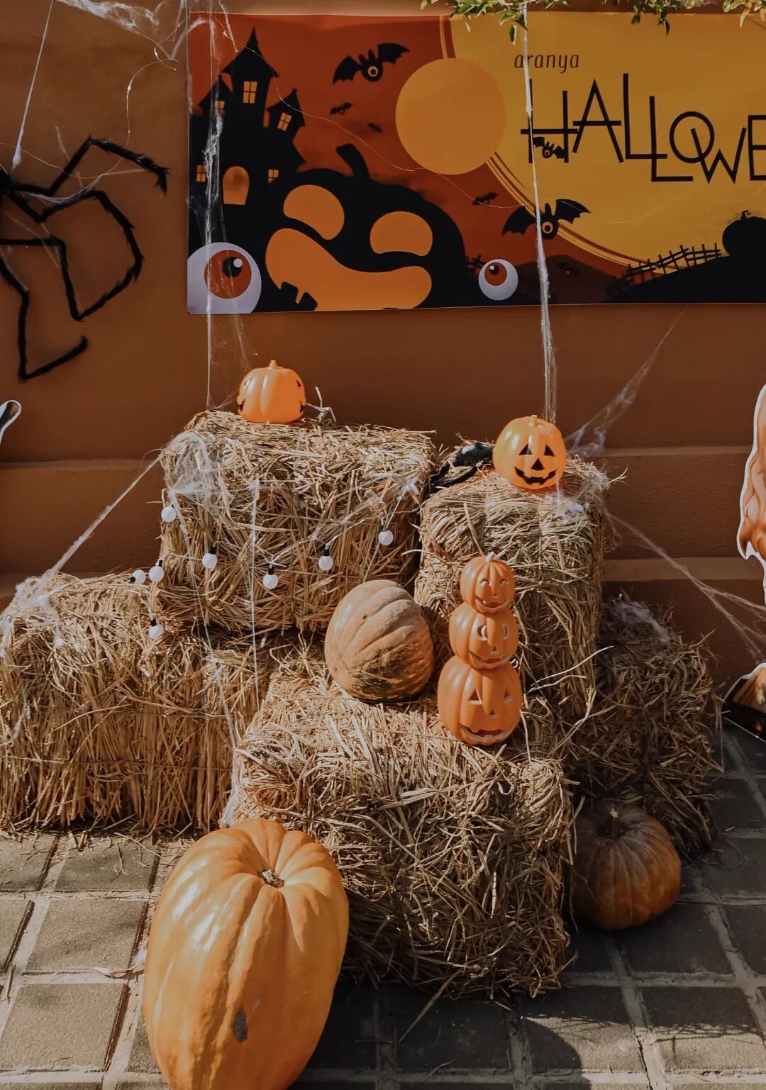 奇妙精灵怎么用来阿那亚·金山岭，与100只“小狗鬼”共度山谷精灵奇妙之旅_https://www.jmylbn.com_新闻资讯_第7张