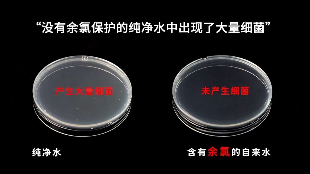 水质科学技术网评_水质科学与技术_水质科学技术专业