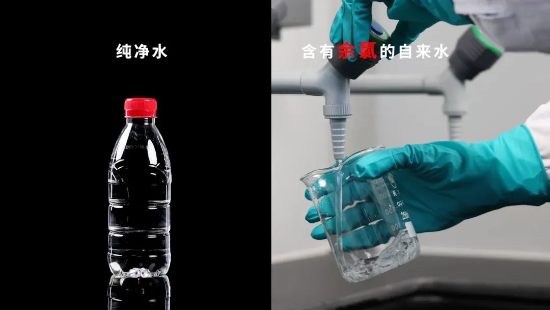 水质科学技术专业_水质科学与技术_水质科学技术网评