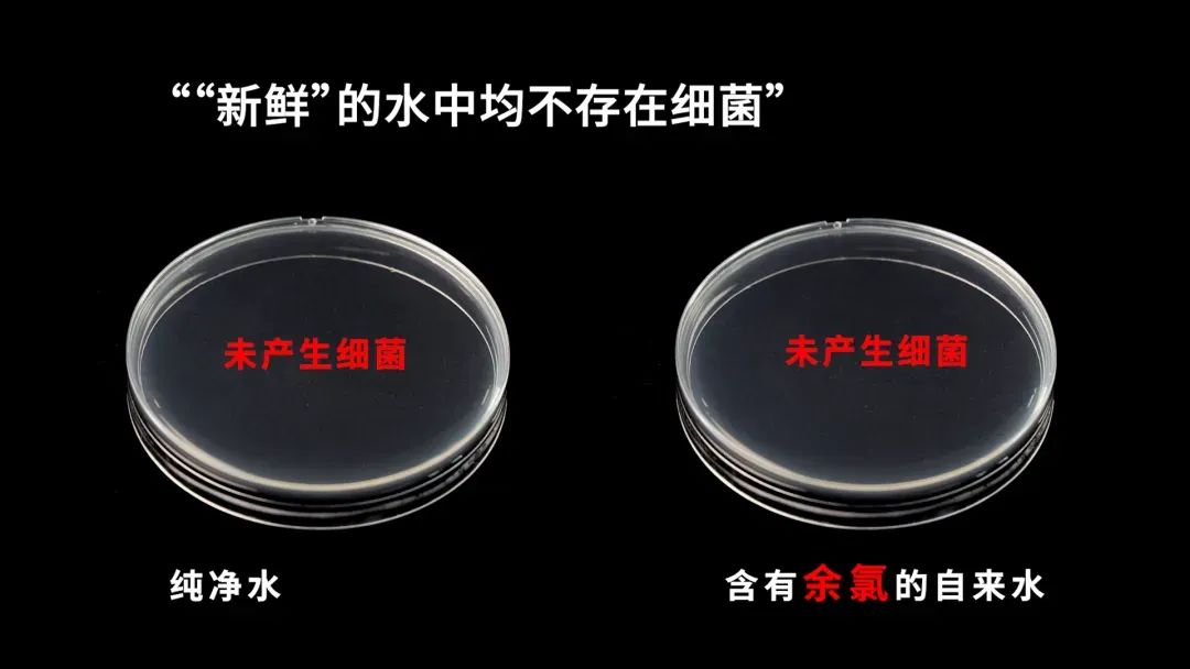 水质科学与技术_水质科学技术网评_水质科学技术专业