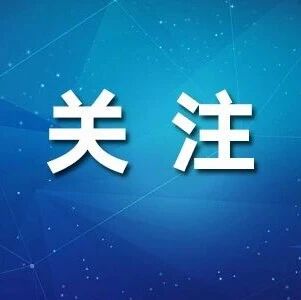 刘嘉玲,被罚