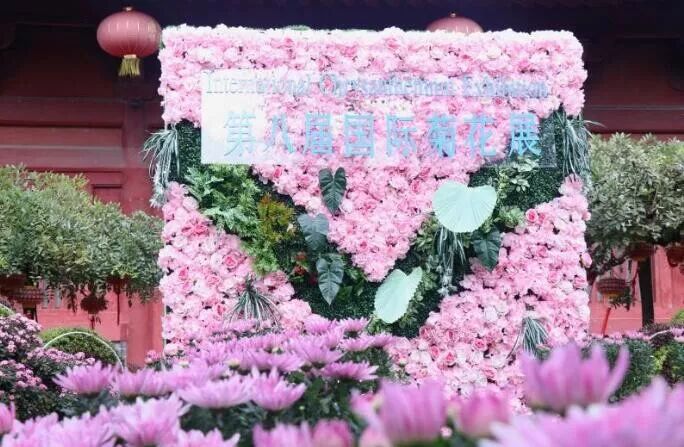 中国开封第37届菊花文化节开幕！多彩活动等你来