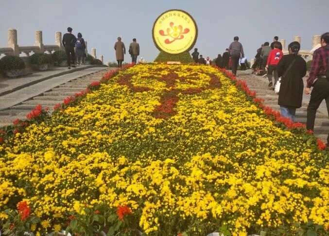 中国开封第37届菊花文化节开幕！多彩活动等你来