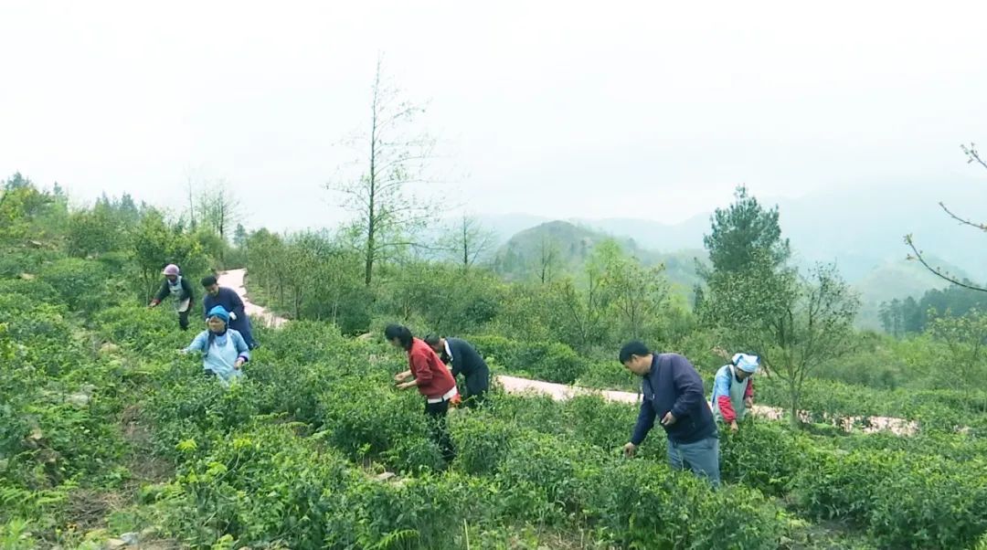 望谟县打易镇图片