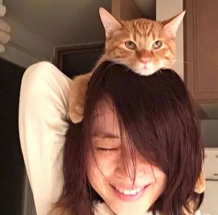 年过40的她们都还没结婚，日本娱乐圈的单身美熟女们- 日剧与音乐部屋 