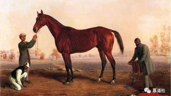 微信公众号慕道社 Mudaoshe 最新文章 微信公众号文章阅读 Wemp