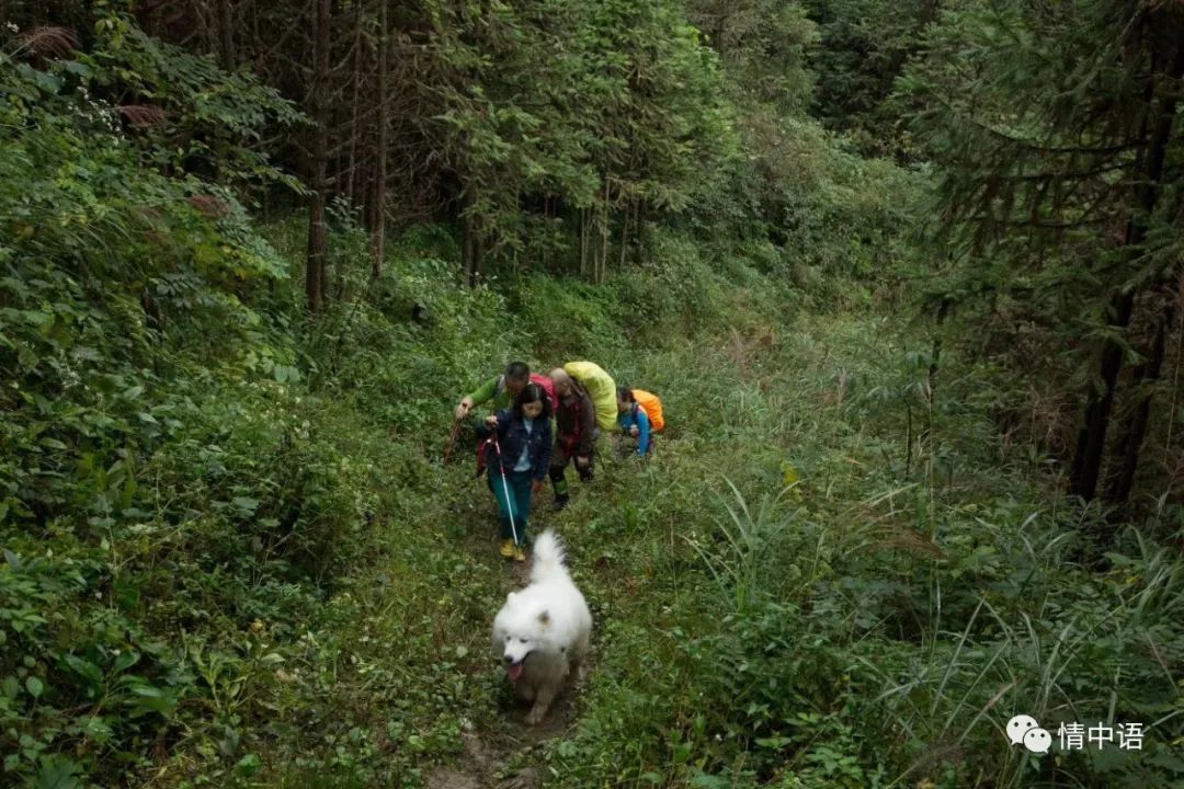 從你的世界路過，希望你不要愛上我 戲劇 第33張