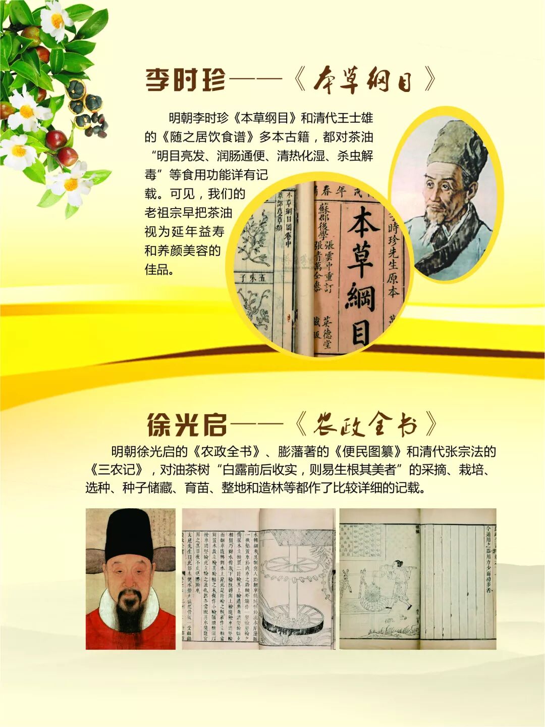 李时珍也说茶油好！