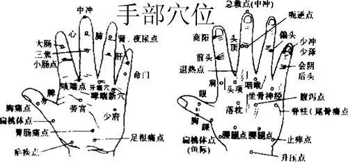 每天按摩这里2分钟，缓解你的颈椎病、关节炎、便秘……