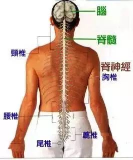 用你的双手拍去你的疾病,就是这么简单!
