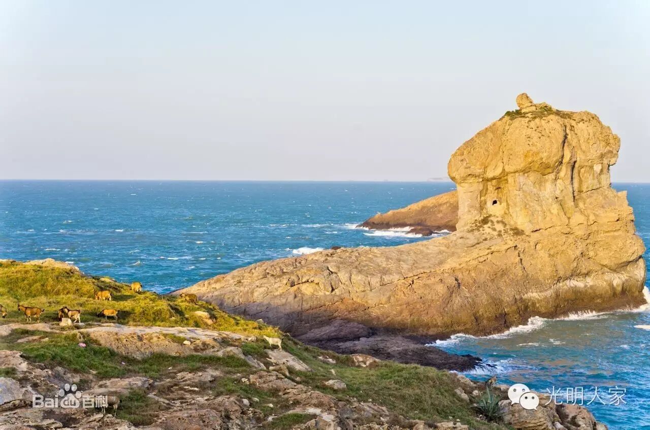 七星岛属于浙江苍南闽浙七星列岛归属之争