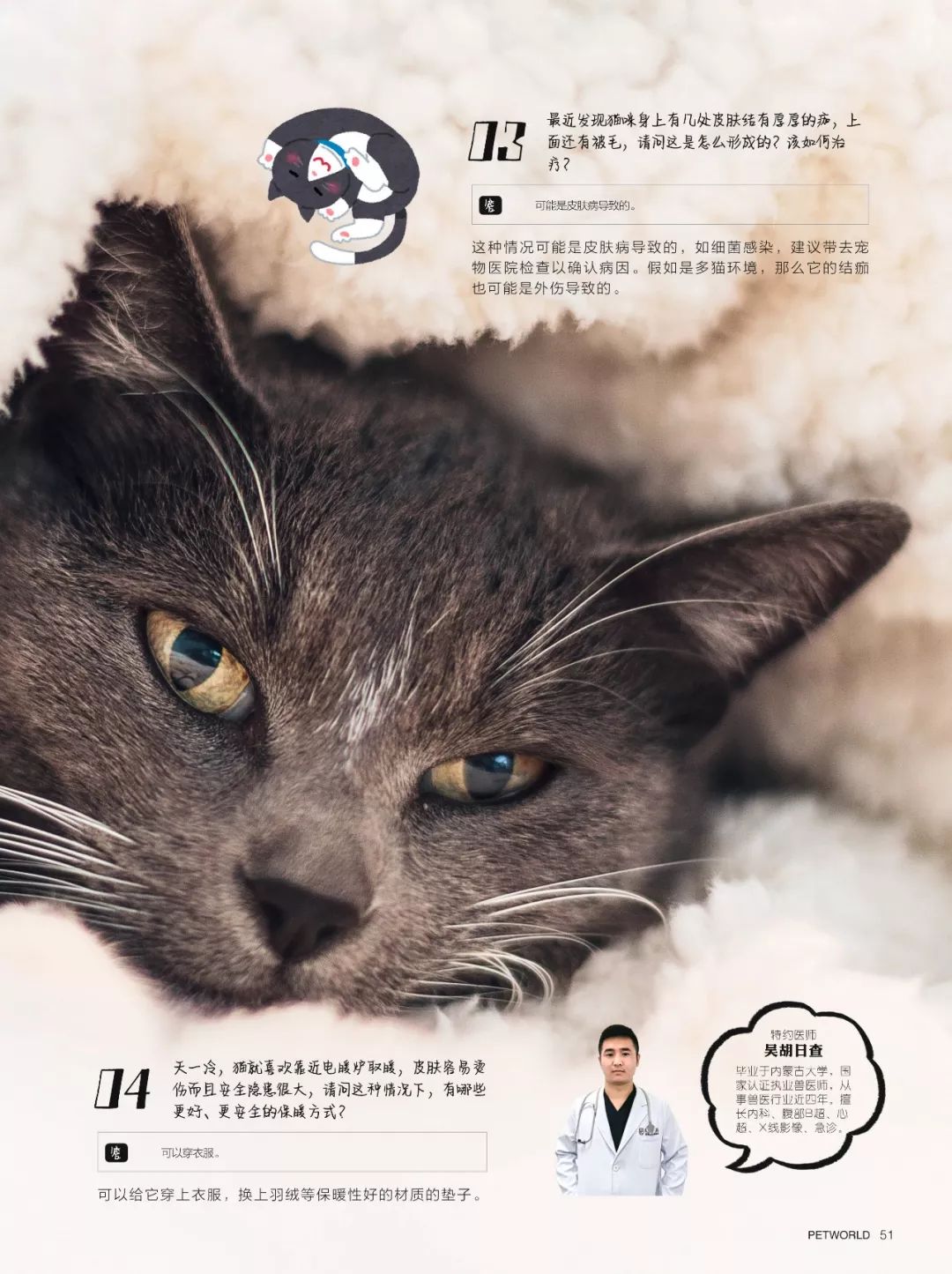 本期猫狗 两副面孔 新刊上市 宠物世界杂志微信公众号文章