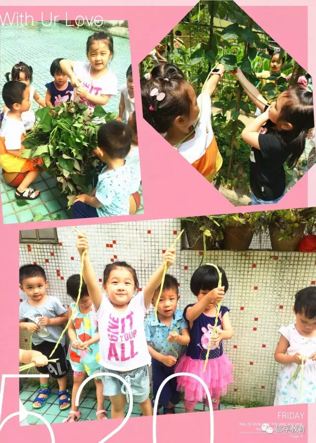 【皇冠幼儿园】在身边的大自然,认识奇妙的朋友 【皇冠幼儿园】在身边的大自然,认识奇妙的朋友