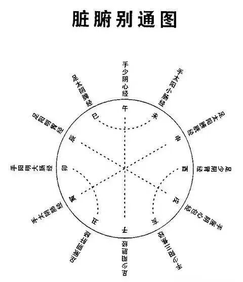 内乡建福堂：脏腑别通的论证与应用