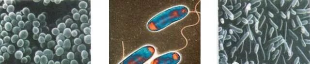 中央空調水系統與末端設備的清洗保養