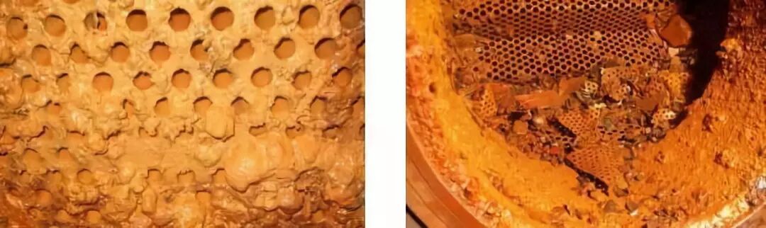 中央空調水系統與末端設備的清洗保養