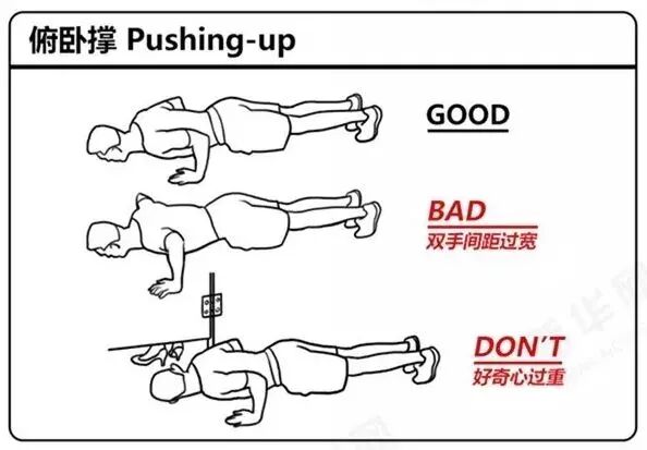 号外！人体使用说明书请拿好