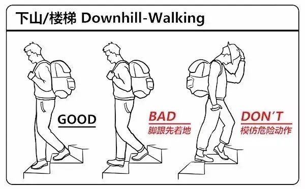 号外！人体使用说明书请拿好