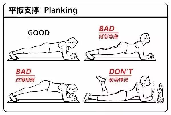 号外！人体使用说明书请拿好