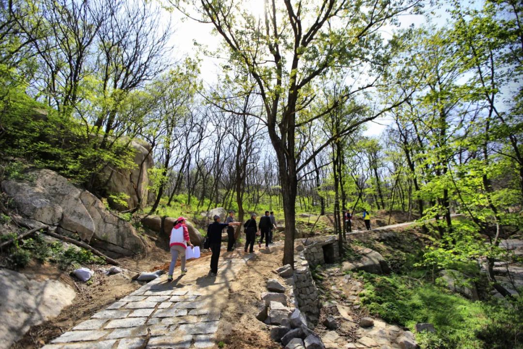 蓬萊艾山國家森林公園5月30日浪漫開園