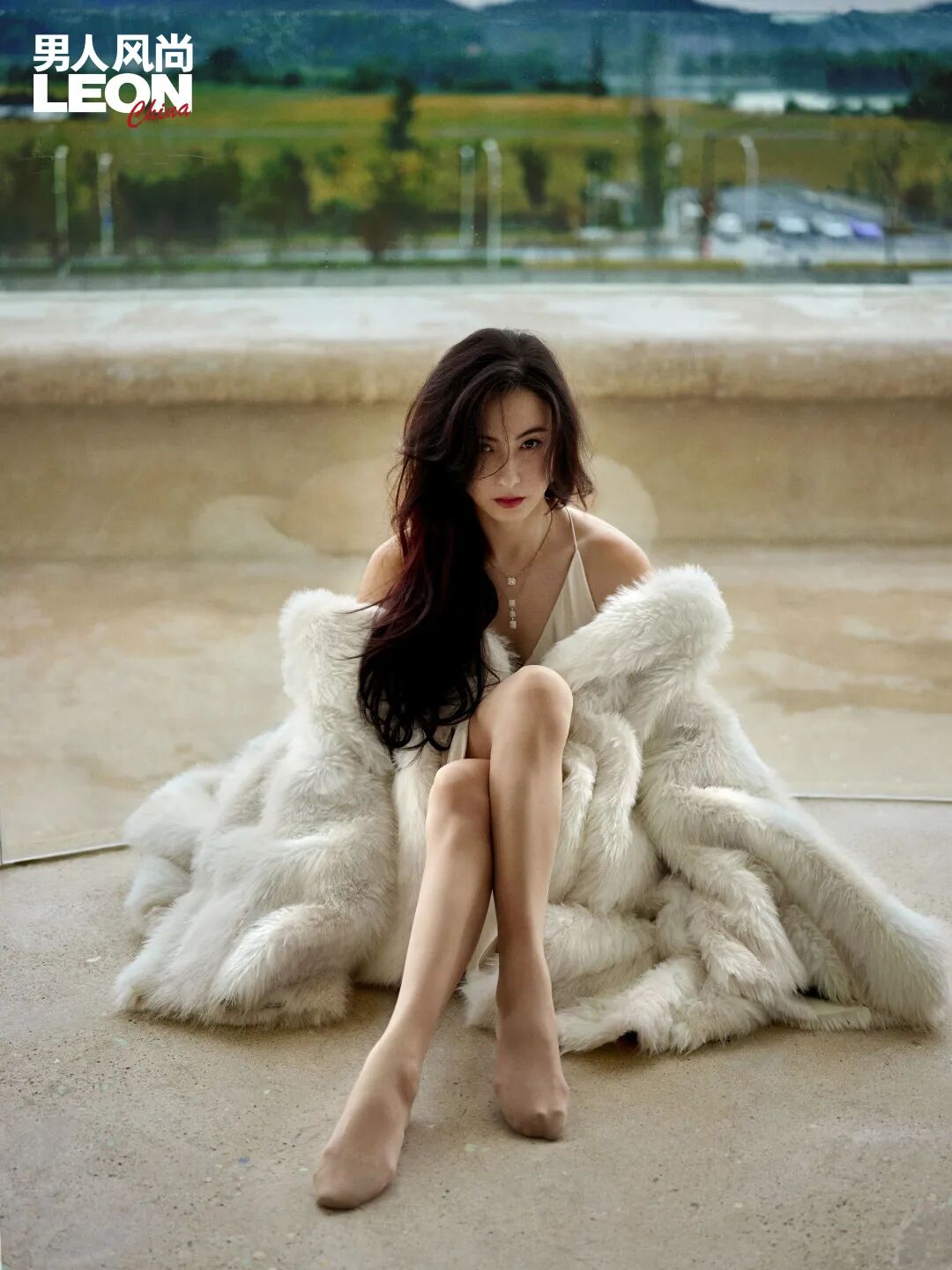 张柏芝丨百川入海