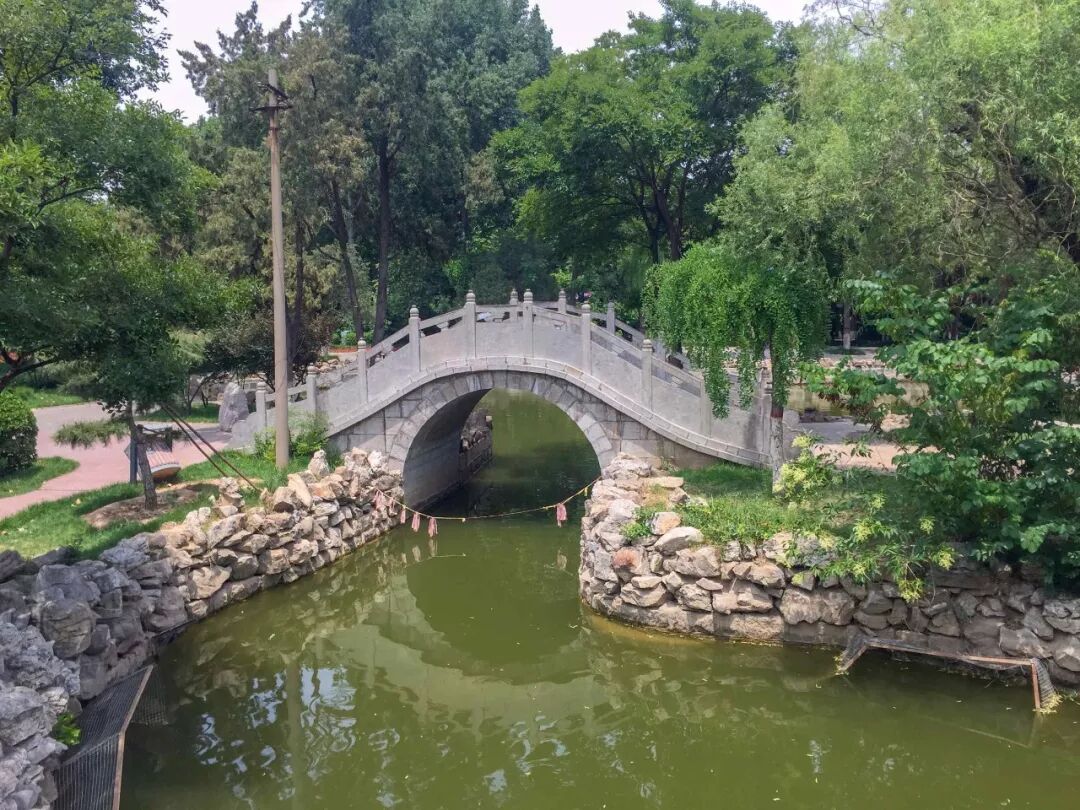 闲适的日子里,漫步在人民公园里邂逅一丝清净,这也正是这么多人来到