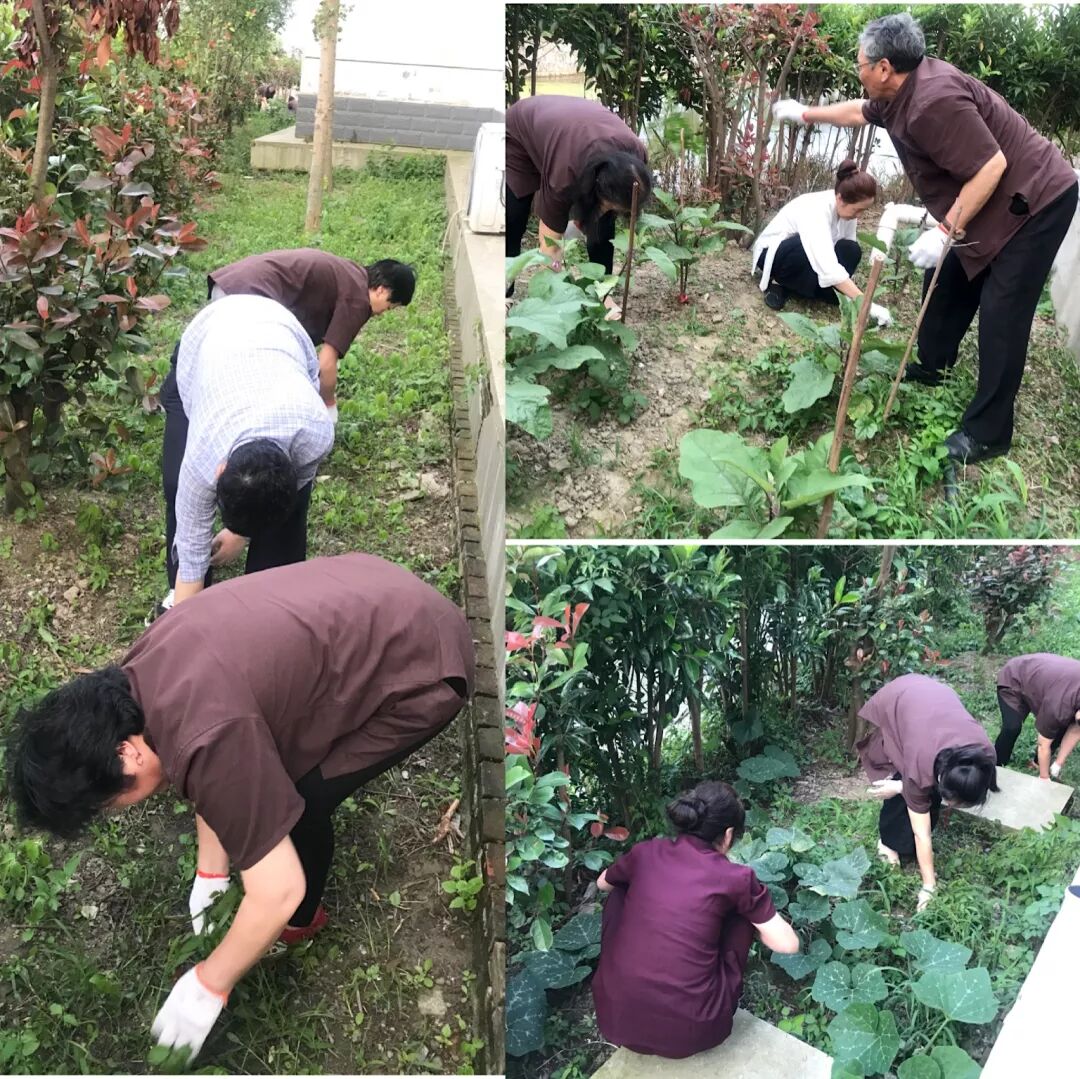 热烈祝贺坤遁国学6月“道医辟谷班”圆满结束