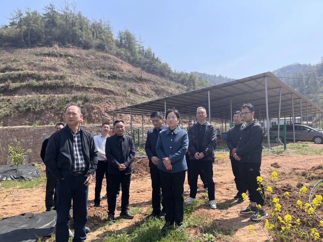 范景玉到南漳县调研柑橘产业