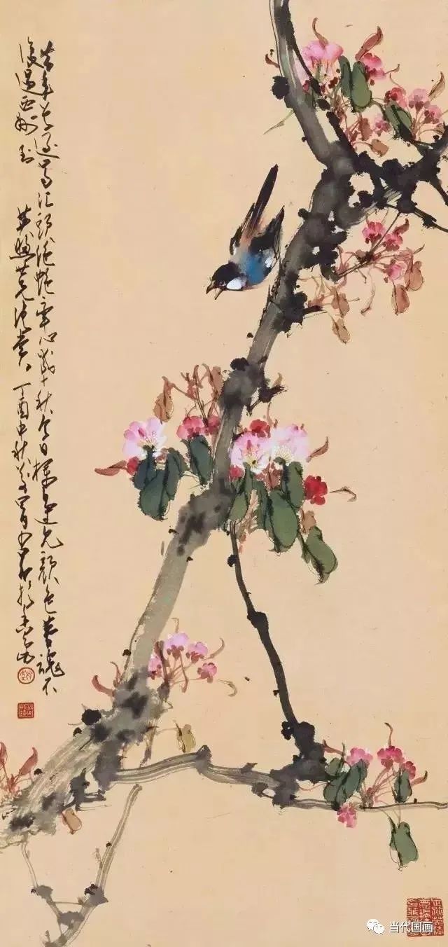 《桃花小鸟》赵少昂蕲水城西向北看,桃花落尽柳花残.