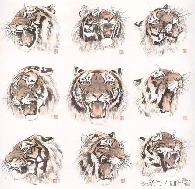 国画老虎的画法图文详解