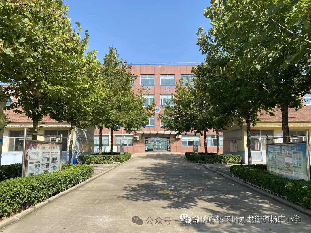 坊子区九龙街道杨庄小学招聘课程服务人员简章