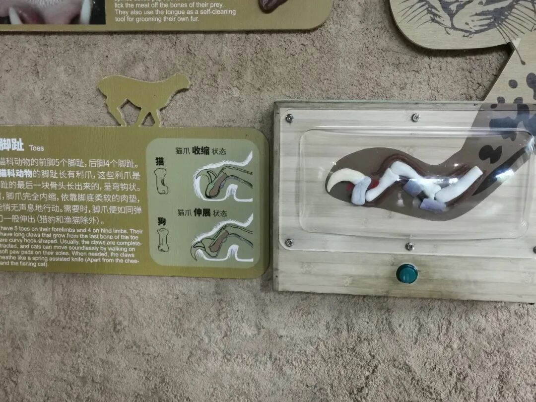 红山动物园参观记带你发掘宝藏解说牌深圳市自然教育中心八月交流会