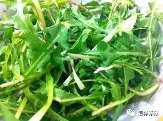 驚蟄—養生要點！ 健康 第3張