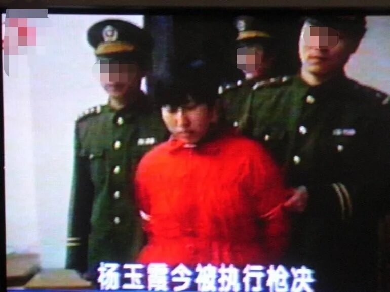 错位的复仇 | 上海杨玉霞硫酸毁容案 - 没药花园 - 瓦斯阅读