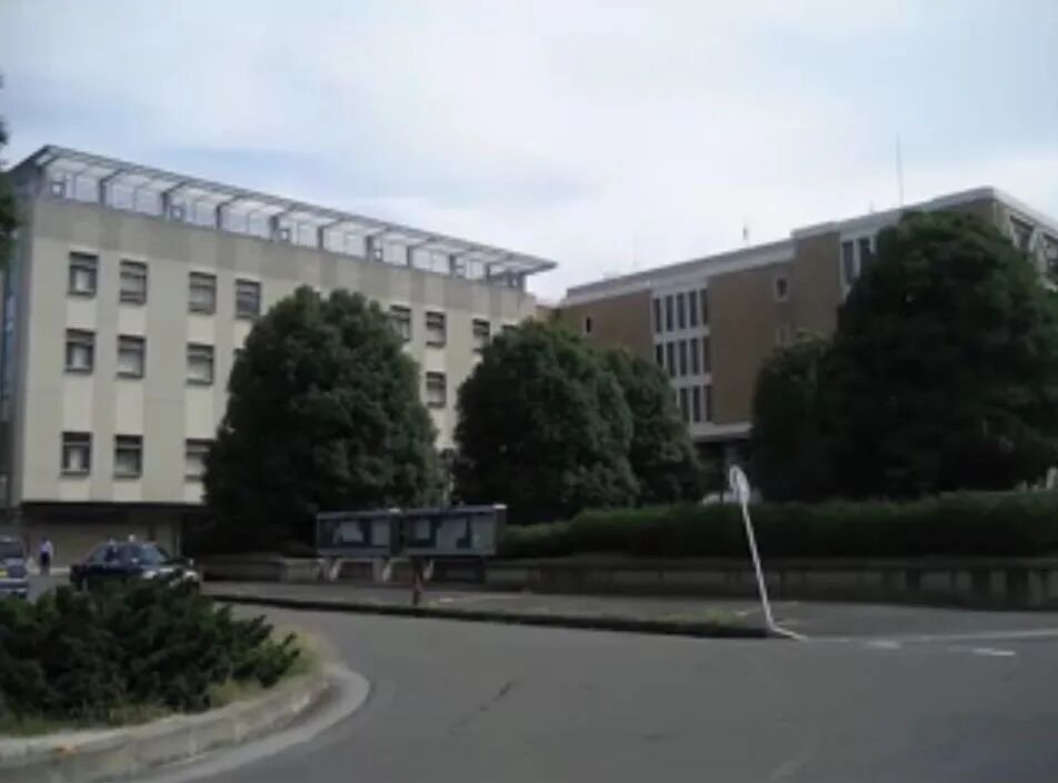 日本龙猫案 真实而残忍的狭山事件 自由微信 Freewechat