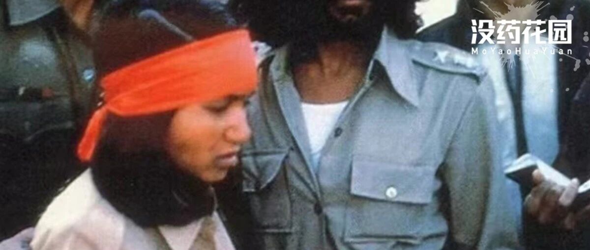 微信公众号没药花园 Moyaohy 最新文章 微信公众号文章阅读 Wemp