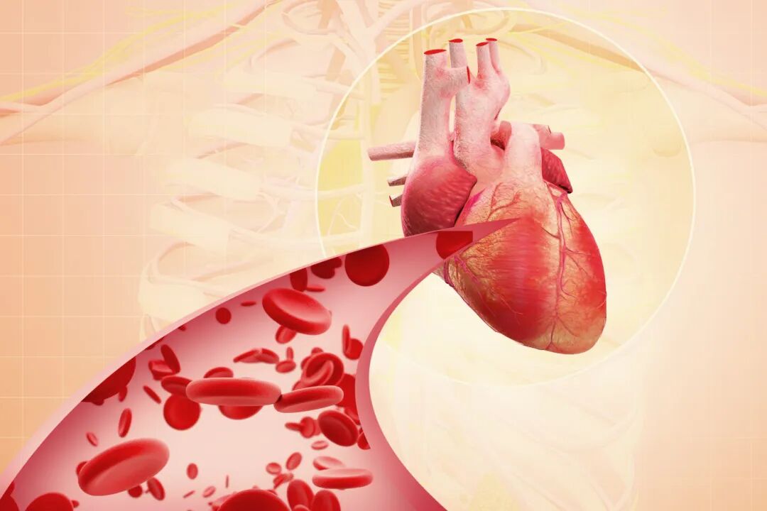 医用臭氧有什么作用【品质世博】什么是医用臭氧治疗，一文读懂（下篇）_https://www.jmylbn.com_新闻资讯_第2张