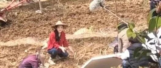 赵丽颖下地干活手法熟练，活脱脱的农村妹子，离婚后状态越来越好