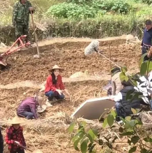 赵丽颖下地干活手法熟练,活脱脱的农村妹子,离婚后状态越来越好-微信头条网 赵丽颖下地干活手法熟练,活脱脱的农村妹子,离婚后状态越来越好
